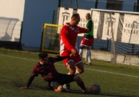 Pensylwania pnie się w górę